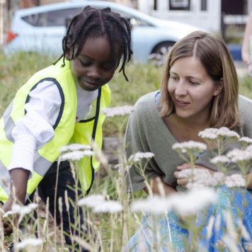 A young child with an adult in a field of flowers.